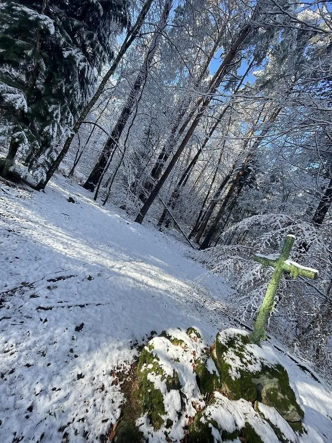 Gite Du Vieux Morat Saint-Bonnet-Troncais